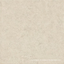 Gres Porcelain Polished Tile